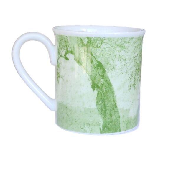 Villeroy & Boch Parkland Toile Green Coffee Mug Cup Country Collection - Picture 2 of 8